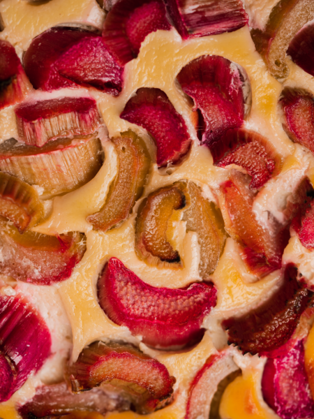 German rhubarb cake with creamy quark close up