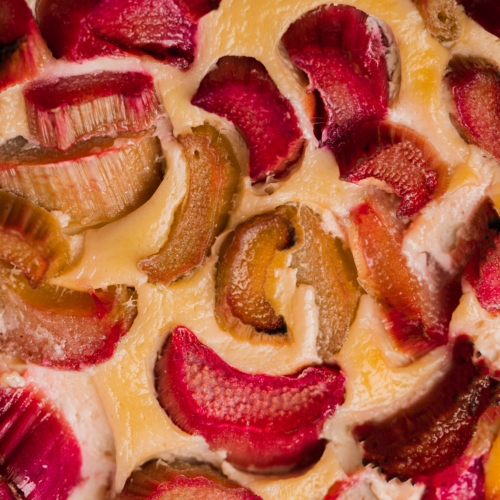 Easy and Delicious Rhubarb Cake - Romandian Masala